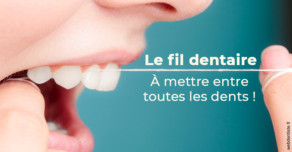 https://dr-carpentier-laurent.chirurgiens-dentistes.fr/Le fil dentaire 2