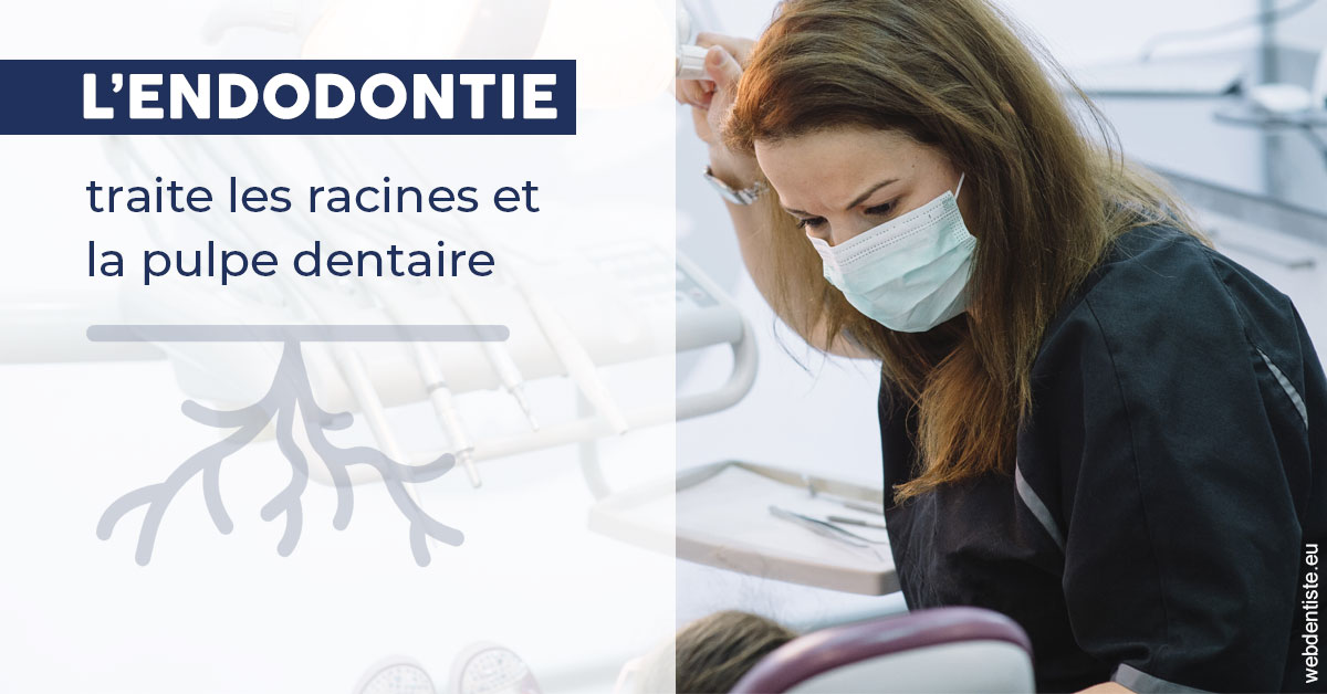 https://dr-carpentier-laurent.chirurgiens-dentistes.fr/L'endodontie 1