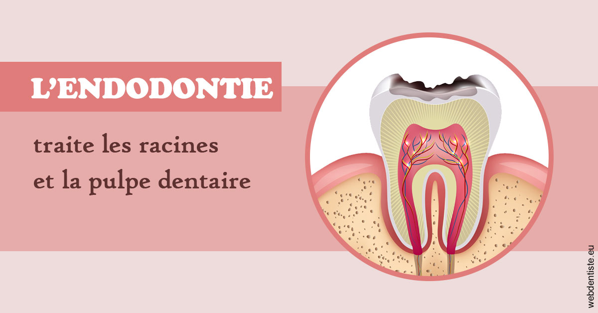 https://dr-carpentier-laurent.chirurgiens-dentistes.fr/L'endodontie 2