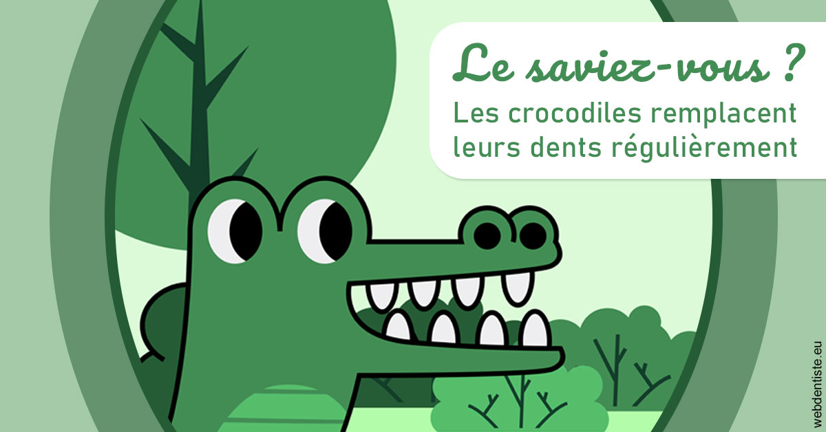 https://dr-carpentier-laurent.chirurgiens-dentistes.fr/Crocodiles 2